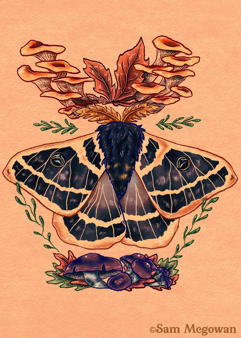 Autumn moth with fungi